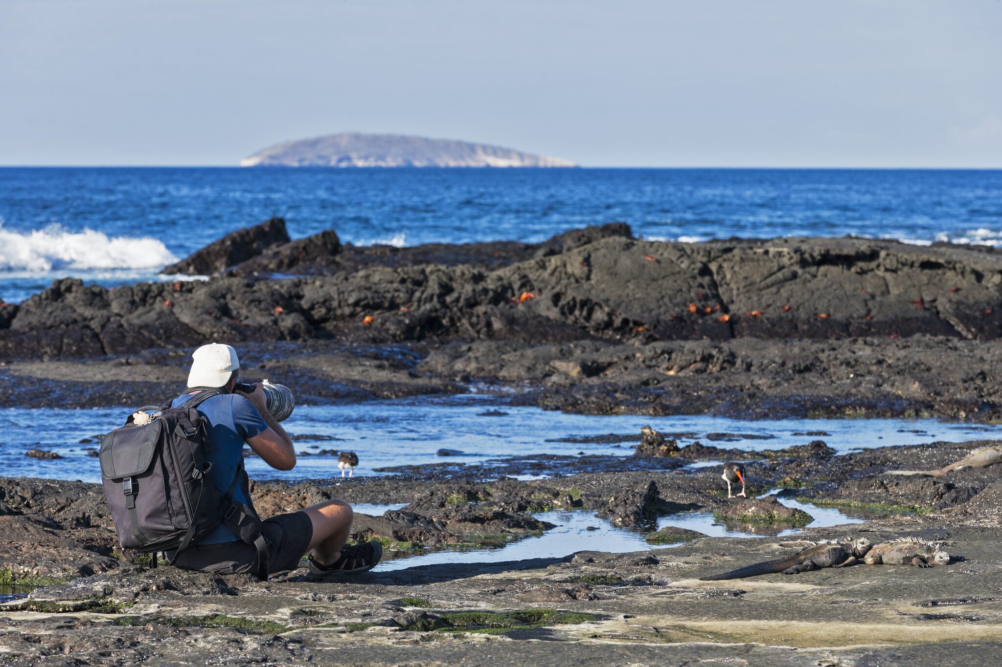 Visitor photographing the volcanic landscape of Santiago Island, Galápagos